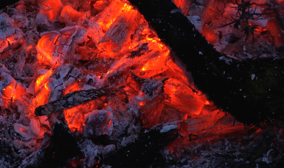 Wastelands_3_1100x650